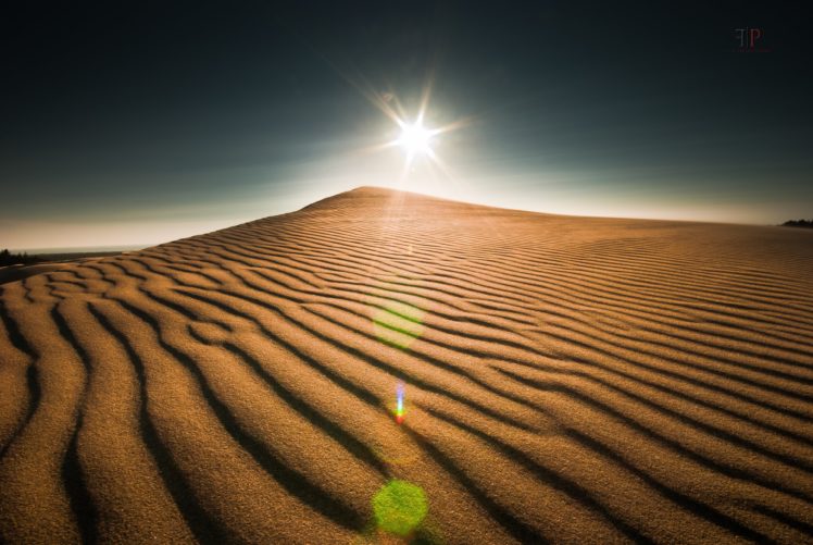 coast, Oregon, Landscape, Sun, Organic, Pattern, Desert, Dune, Sand HD Wallpaper Desktop Background