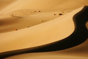 desert, Sand, Nature, Landscape, Dunes, Dune