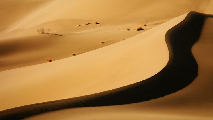 desert, Sand, Nature, Landscape, Dunes, Dune HD Wallpaper Desktop Background