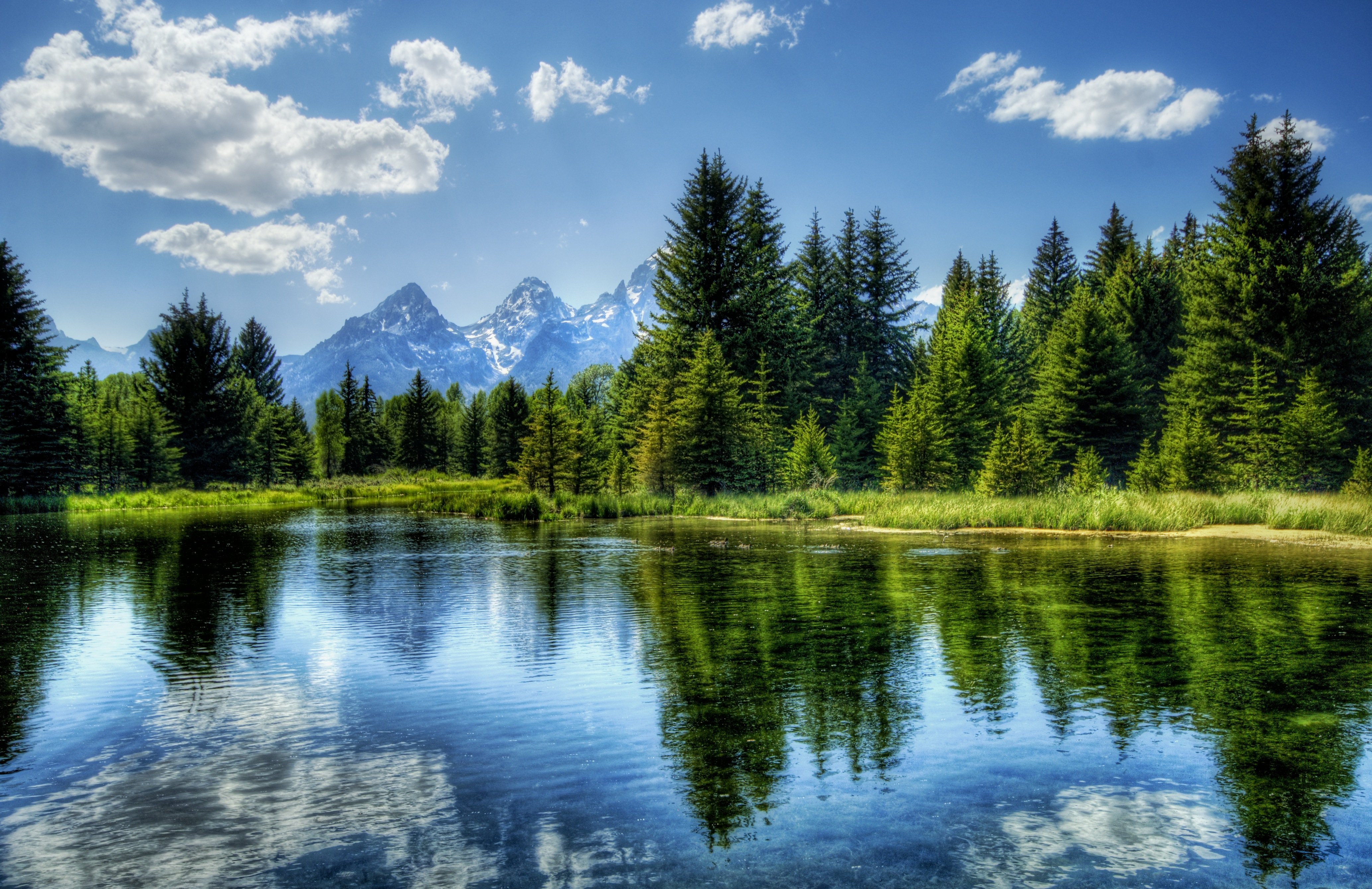 tree, Reflection, Lake, Water, Cloud, Mountain, Yellowstone, Wyoming, The, Teton, Range, Grand, Teton, National, Park, Landscape Wallpaper