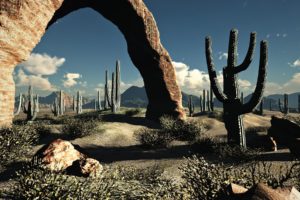 landscapes, Nature, Desert, Cactus