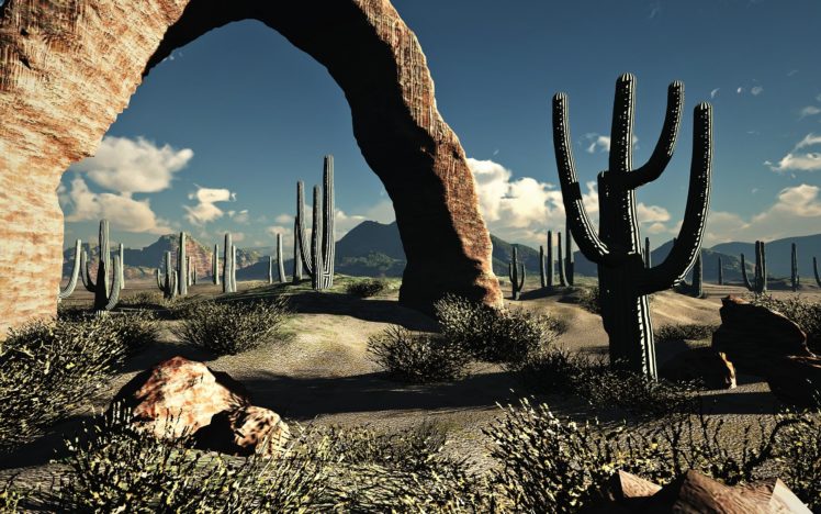landscapes, Nature, Desert, Cactus HD Wallpaper Desktop Background