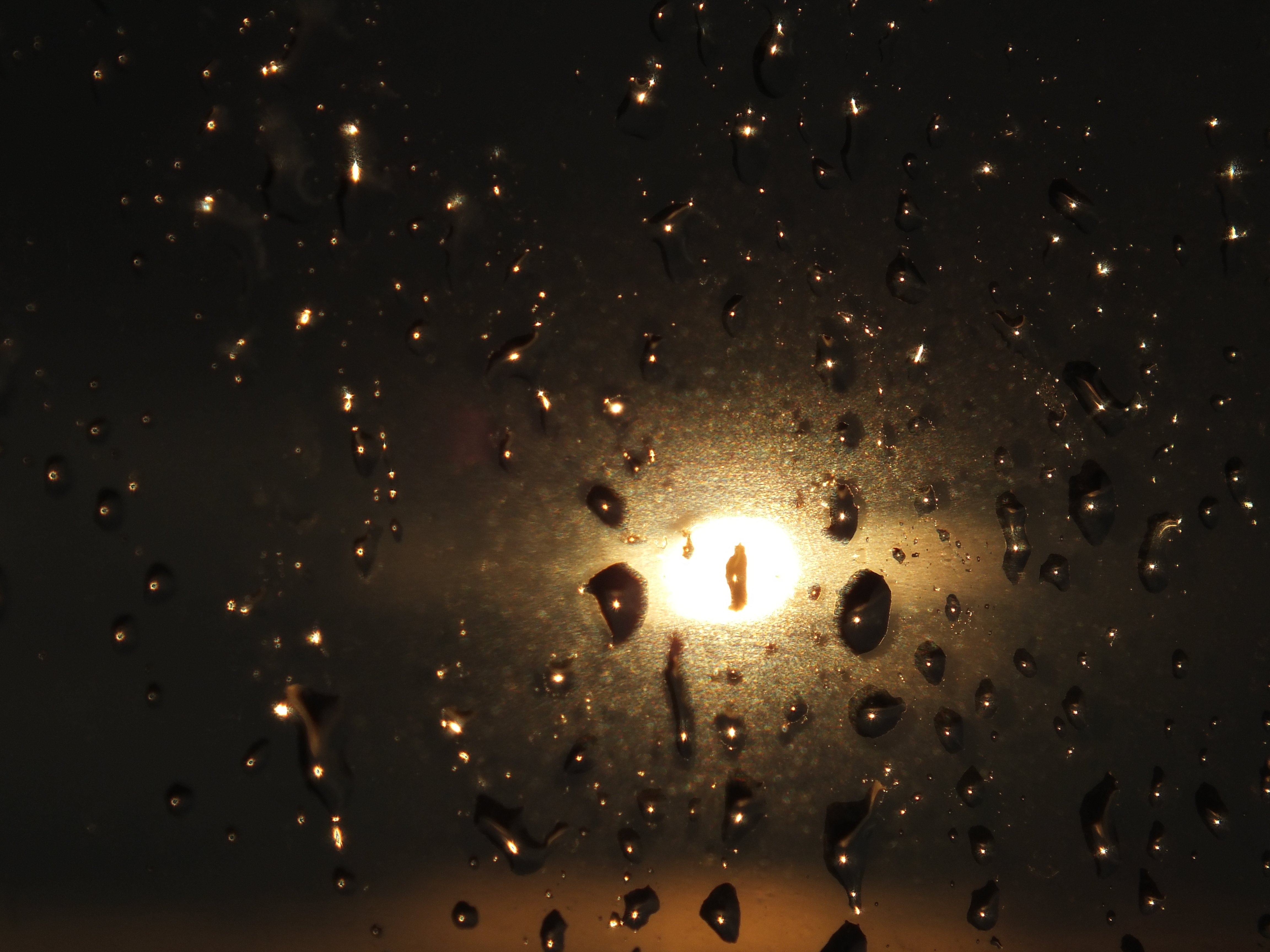 rain drops Wallpaper