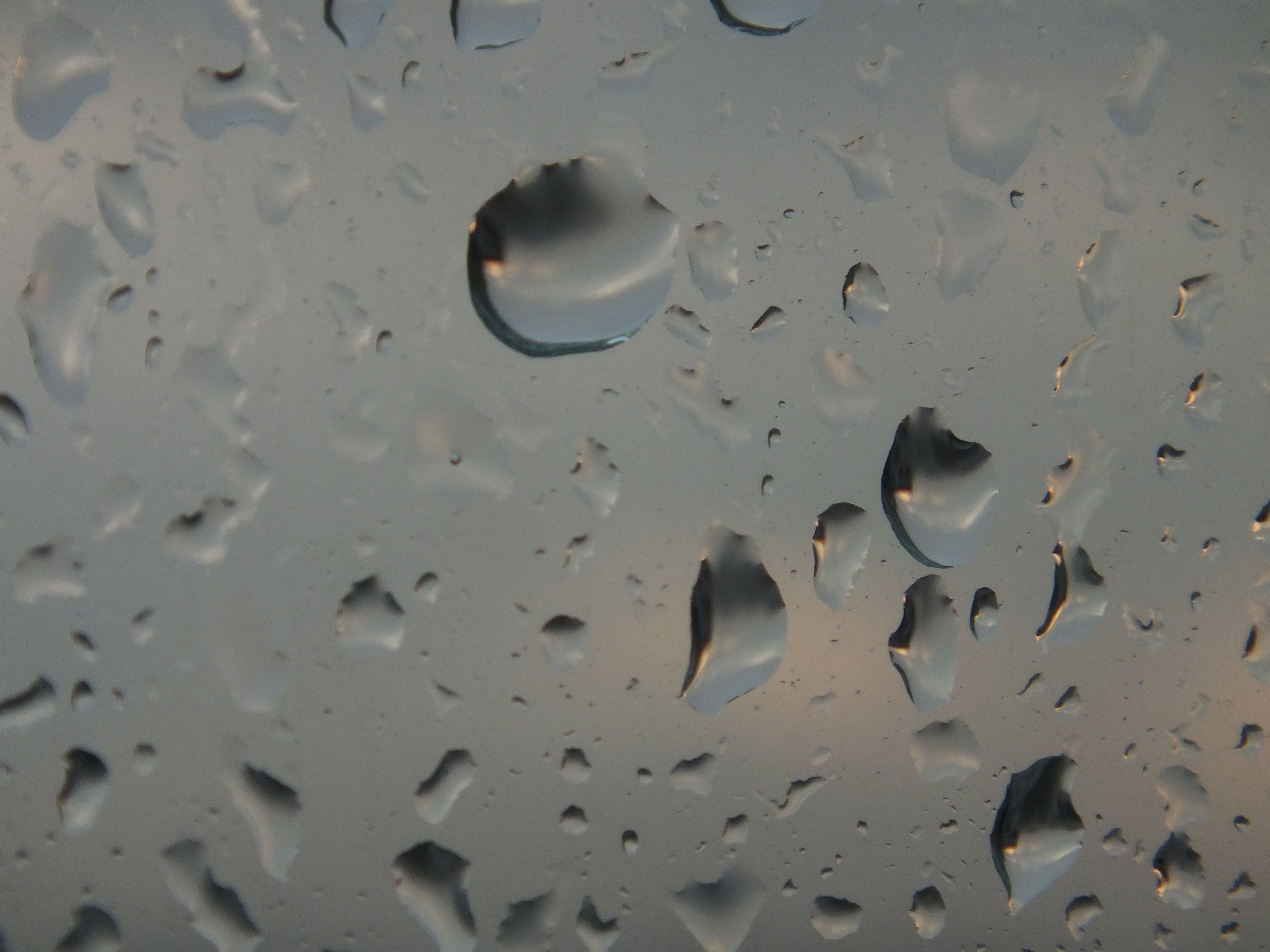 rain drops Wallpaper