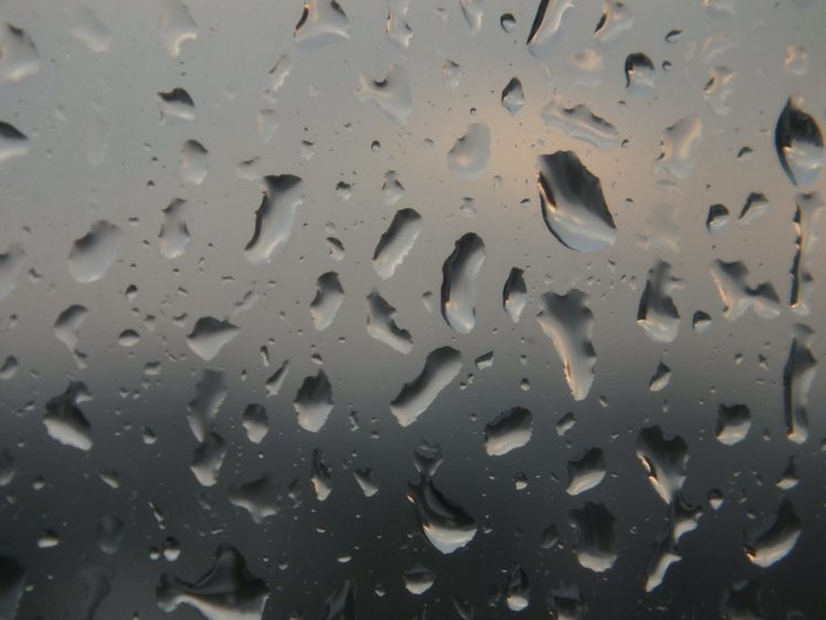 rain drops HD Wallpaper Desktop Background