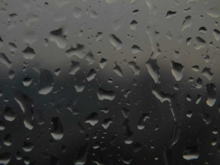rain, Drop HD Wallpaper Desktop Background
