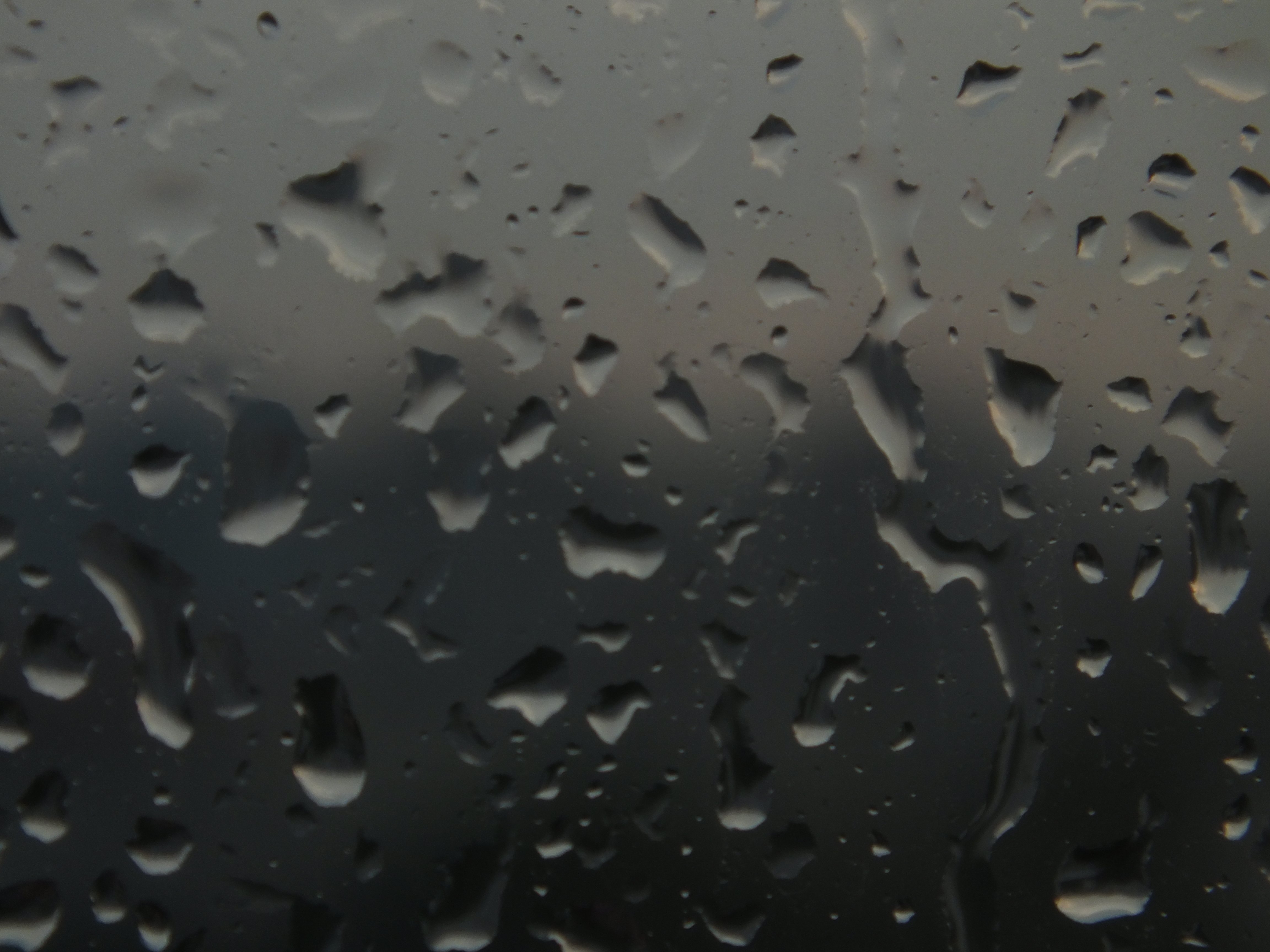 rain, Drop Wallpaper