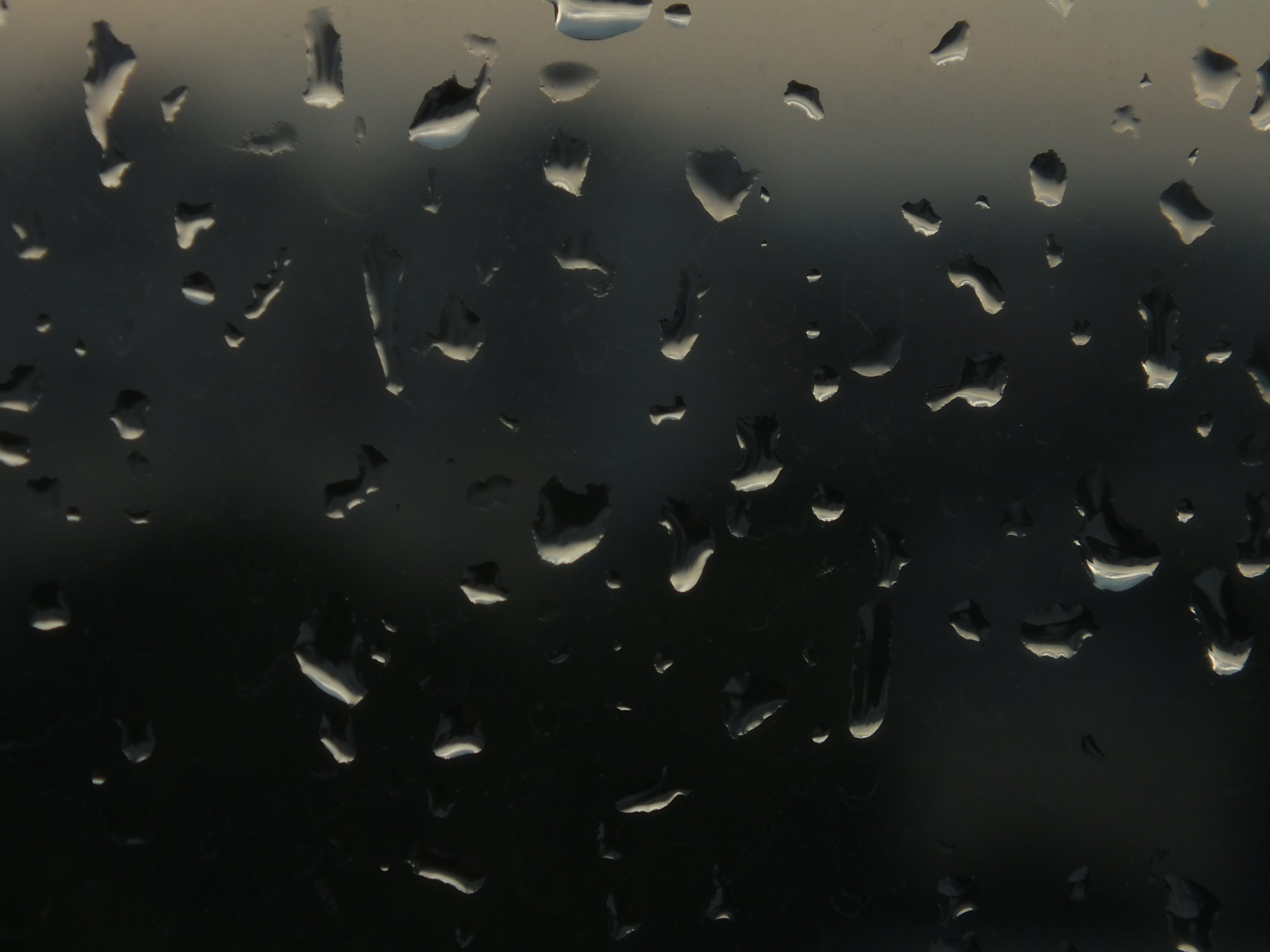 rain, Drop Wallpaper