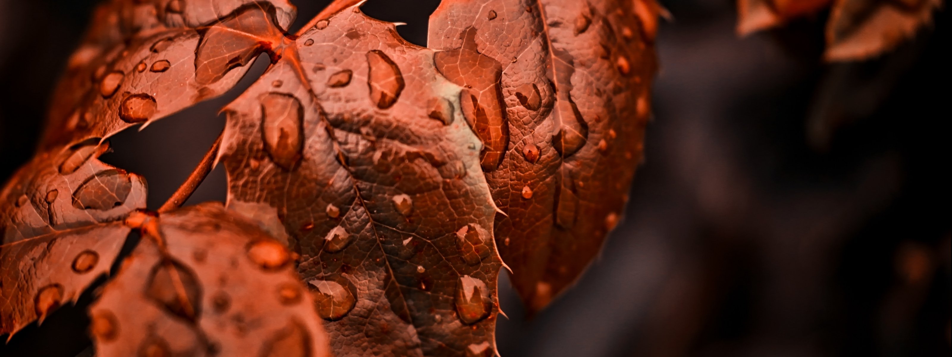 multi, Monitor, Dual, Screen, 3200, 1200 Wallpaper