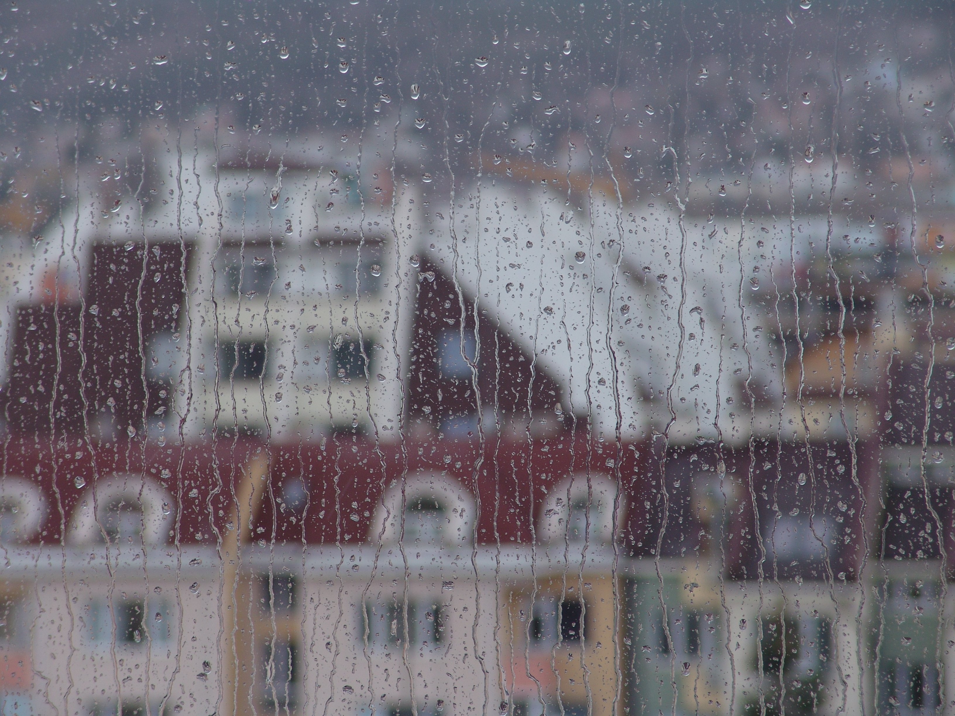 ata, Sot, Sofia, Bulgaria, Rainy, Day Wallpaper