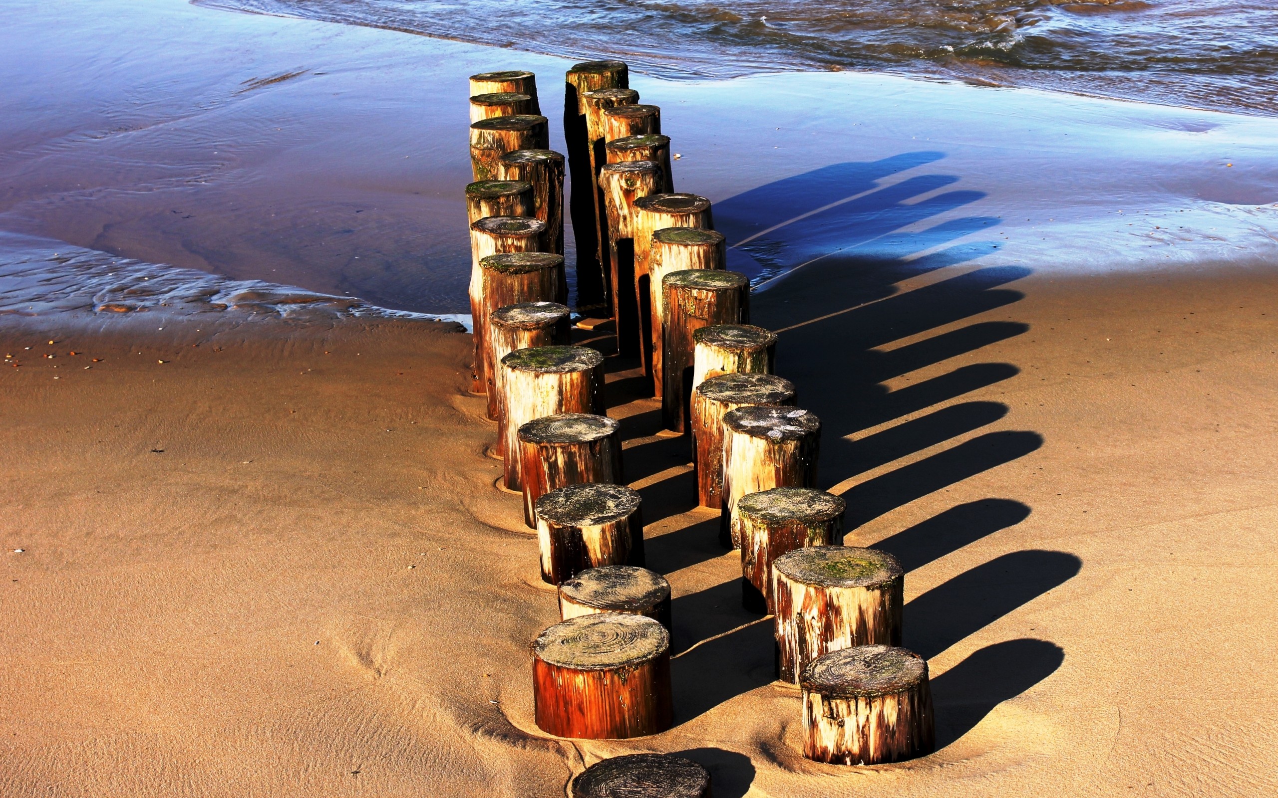 sea, Sand, Stumps, Tree, Stump, Timber, Poles, Shadow, Series Wallpaper