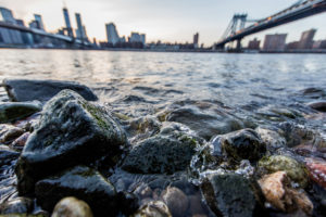 rocks, Stones, Macro, River, New, York, Buildings