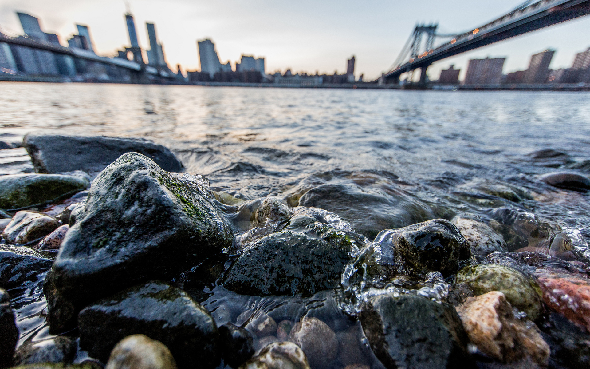rocks, Stones, Macro, River, New, York, Buildings Wallpaper