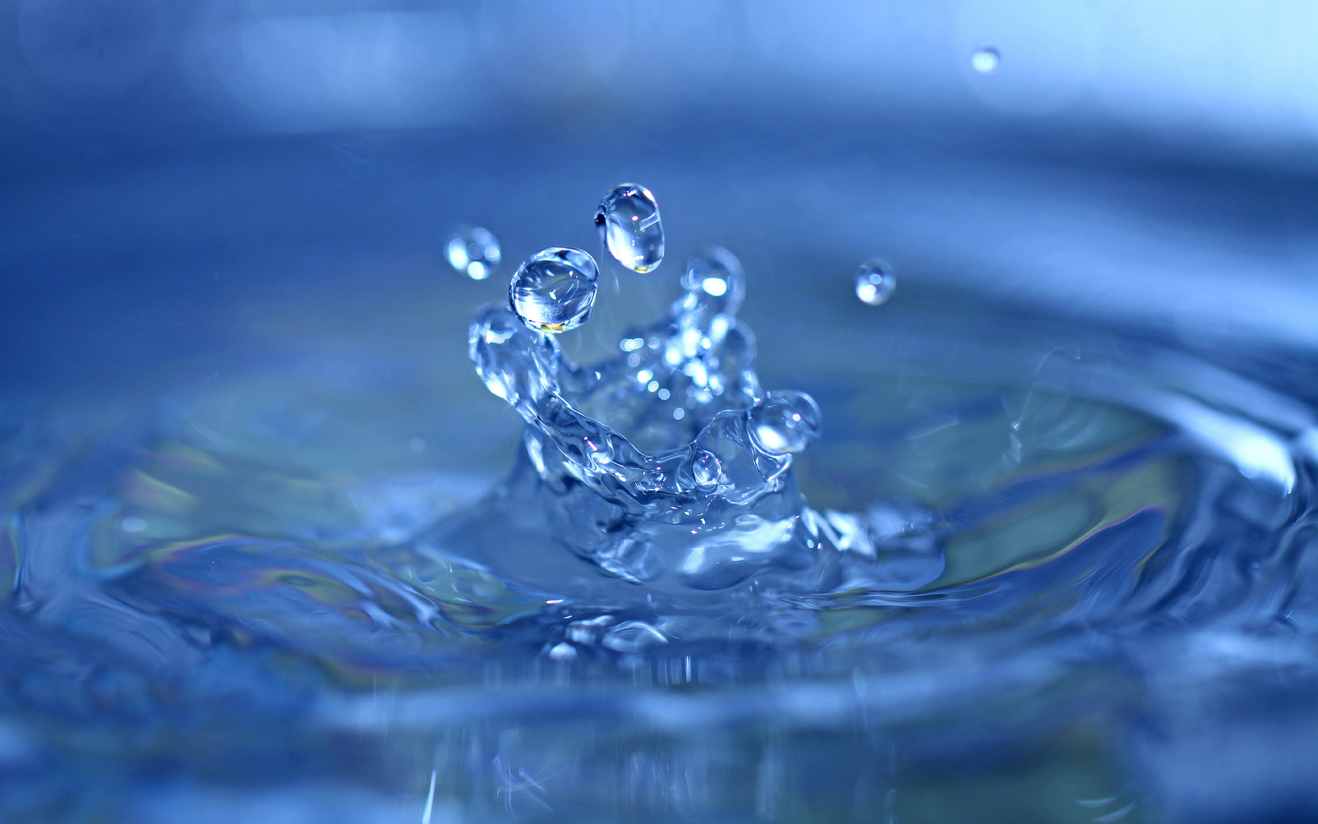 water, Drops, Macro, Splash Wallpaper