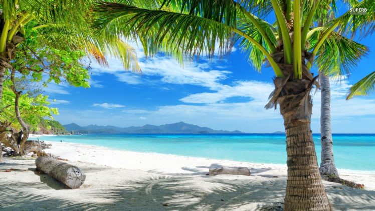 playa, Tropical, Palmeras HD Wallpaper Desktop Background