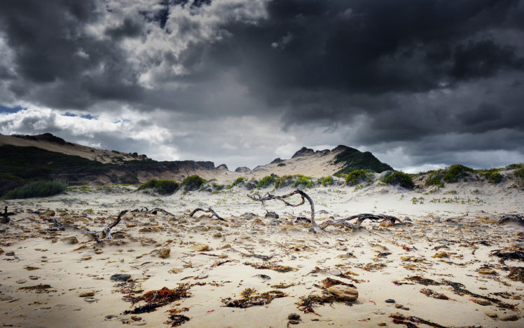 landscapes, Beach, Sky, Clouds, Seaweed HD Wallpaper Desktop Background