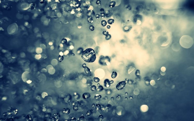 water, Drops, Macro, Depth, Of, Field HD Wallpaper Desktop Background
