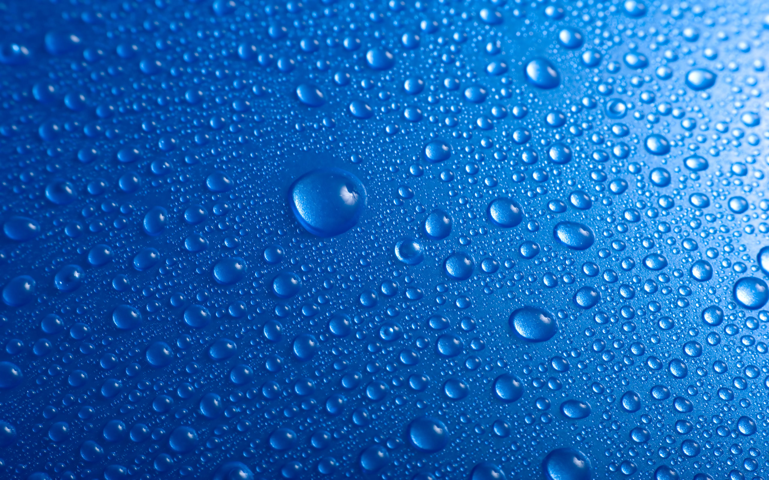 water, Blue, Wet, Water, Drops, Macro, Condensation Wallpaper