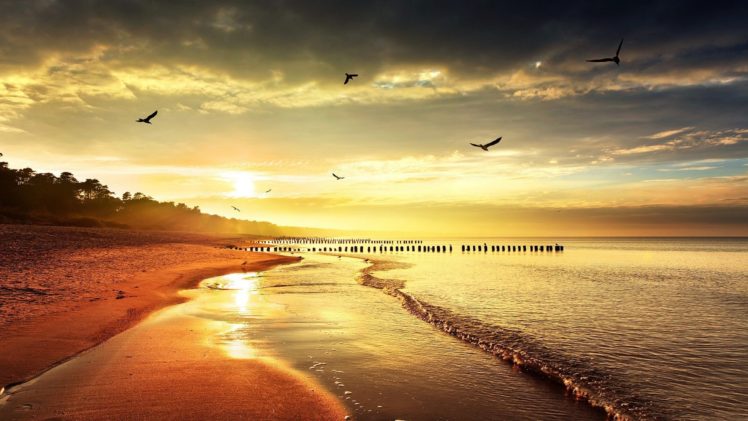 playas, Mar, Palos, Nubes, Sol HD Wallpaper Desktop Background