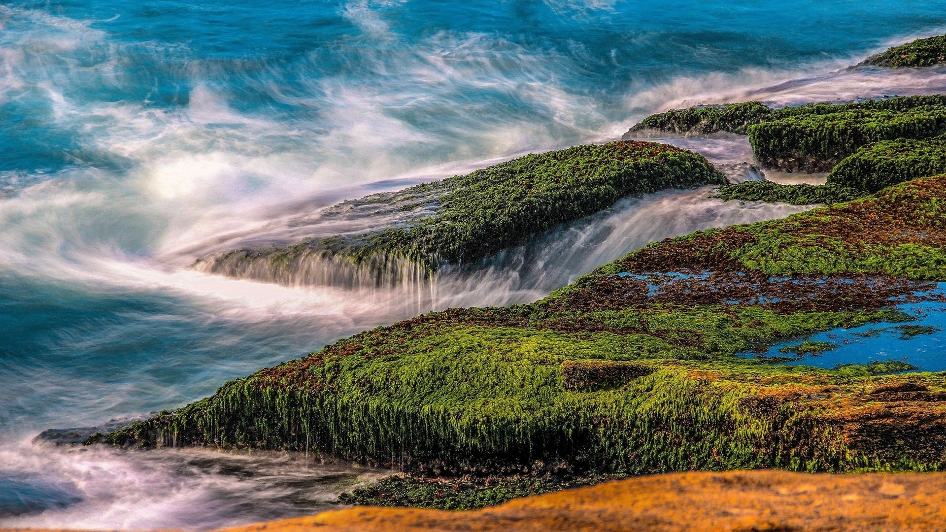 stones, Seaweed, Sea, Nature Wallpaper