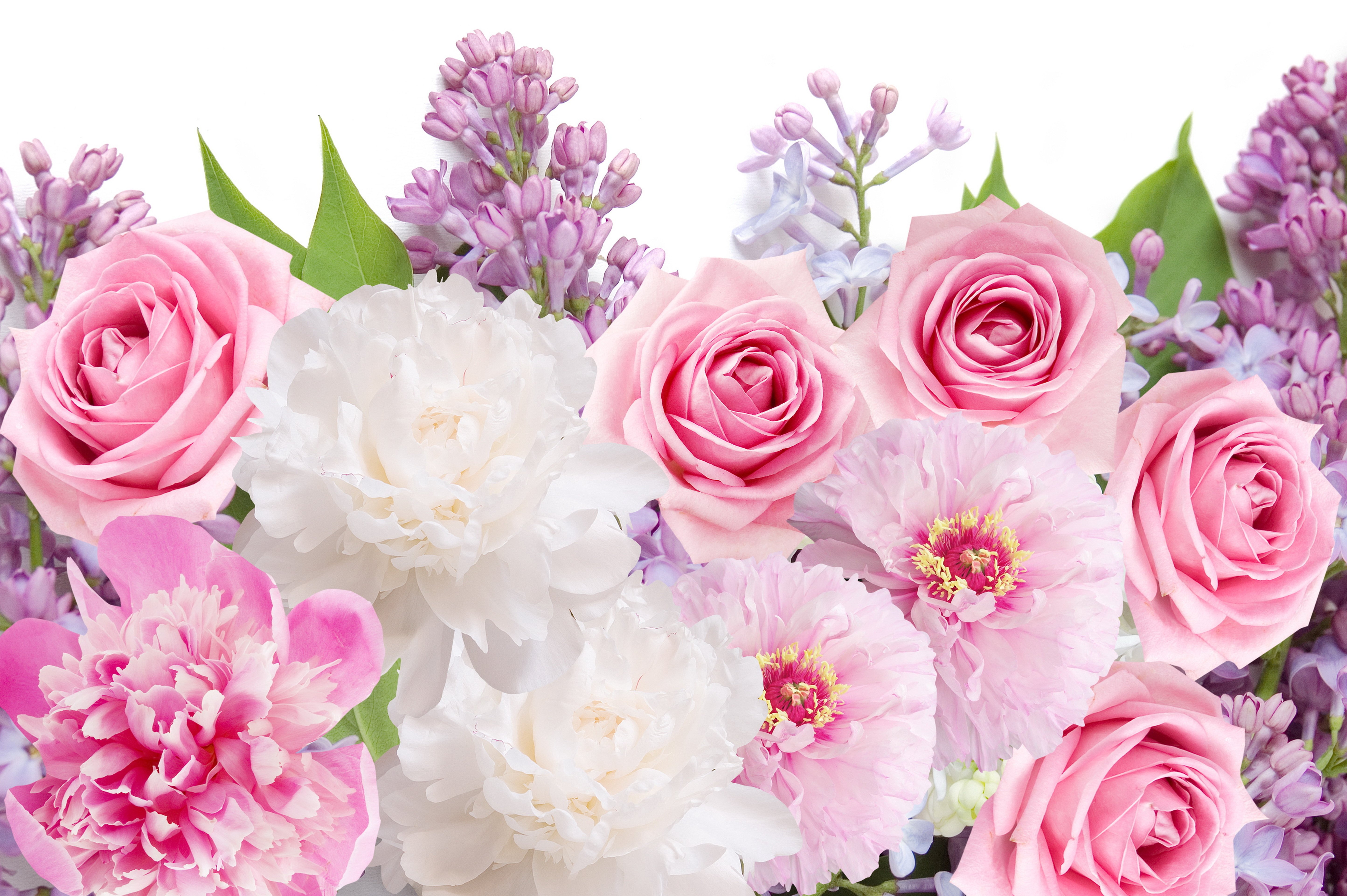 flowers, Peonies, Roses, Lilacs, Flowers, Peonies, Roses, Lilacs Wallpaper