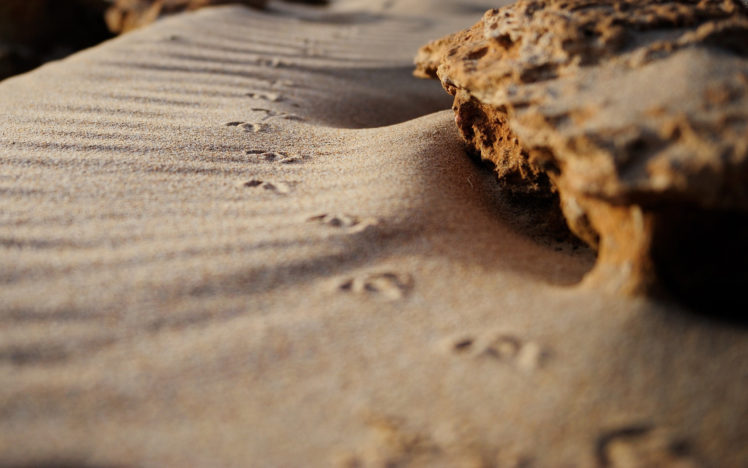 footprints, In, The, Sand HD Wallpaper Desktop Background