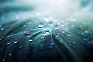 water, Droplets