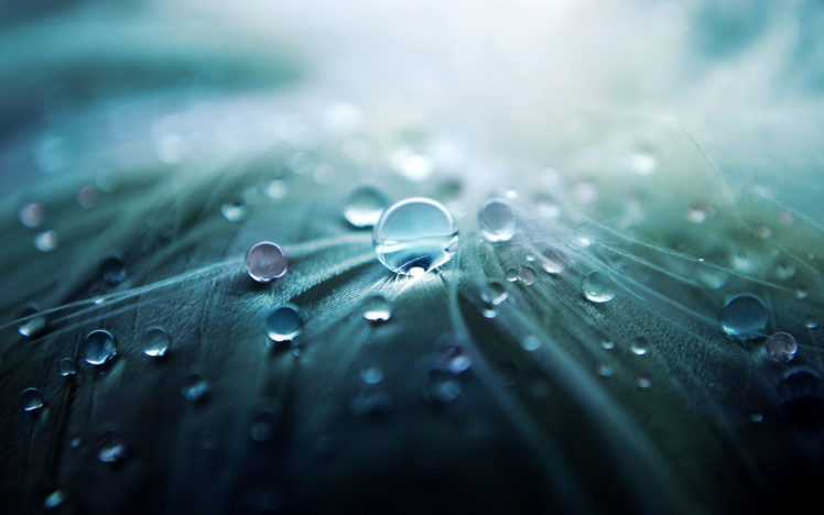water, Droplets HD Wallpaper Desktop Background