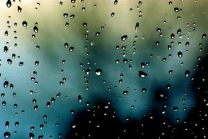 nature, Rain, Condensation, Rain, On, Glass