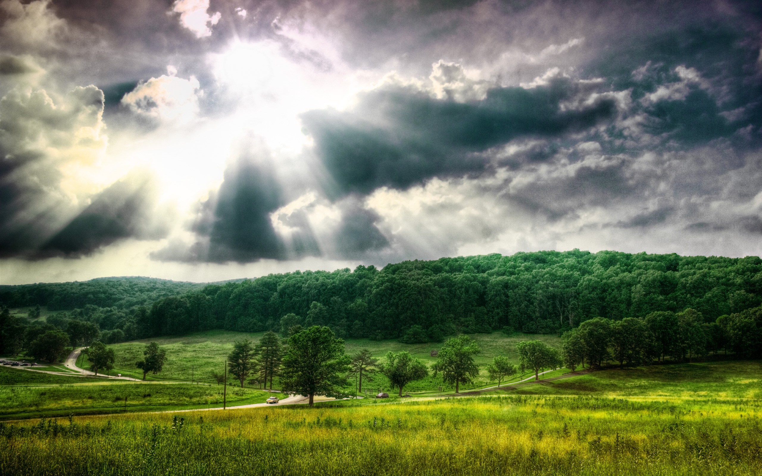 landscapes, Nature, Sun, Trees, Forest, Fields, Majestic, Skyscapes Wallpaper