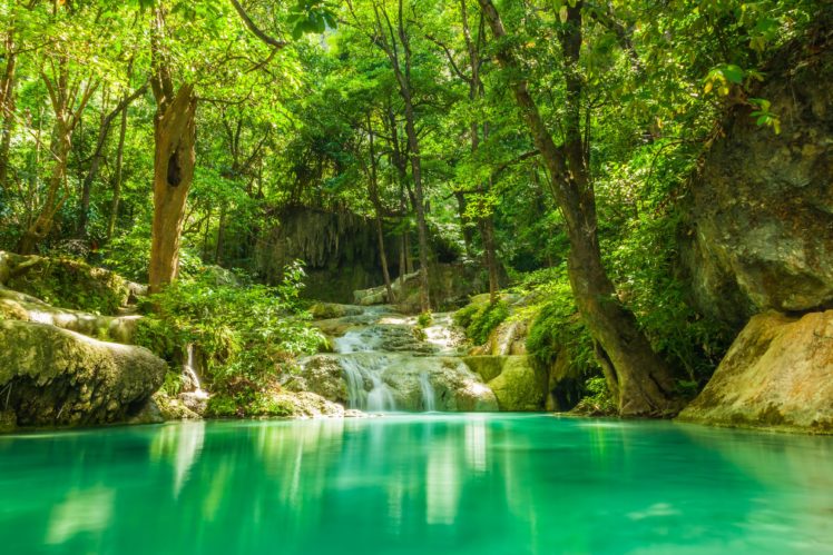 summer, Forest, Lake, Stream, Waterfall, Rocks, Trees, Greenery, Tropical, Jungle HD Wallpaper Desktop Background