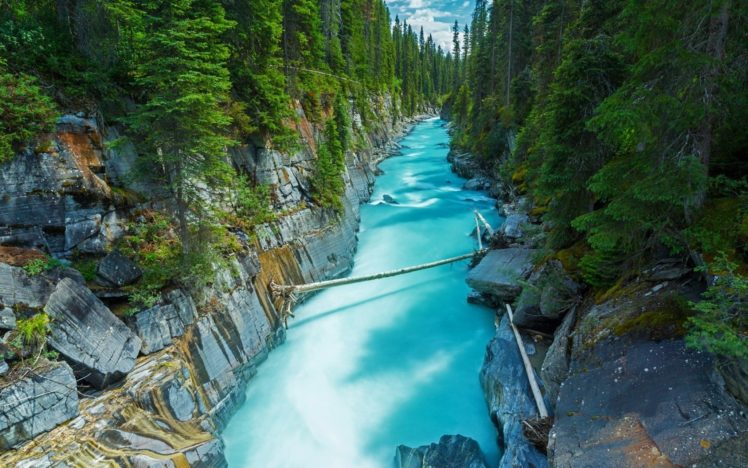nature, Trees, Water, Forest, Green, Rocks, Canada, River, Landscape, Turquoise HD Wallpaper Desktop Background