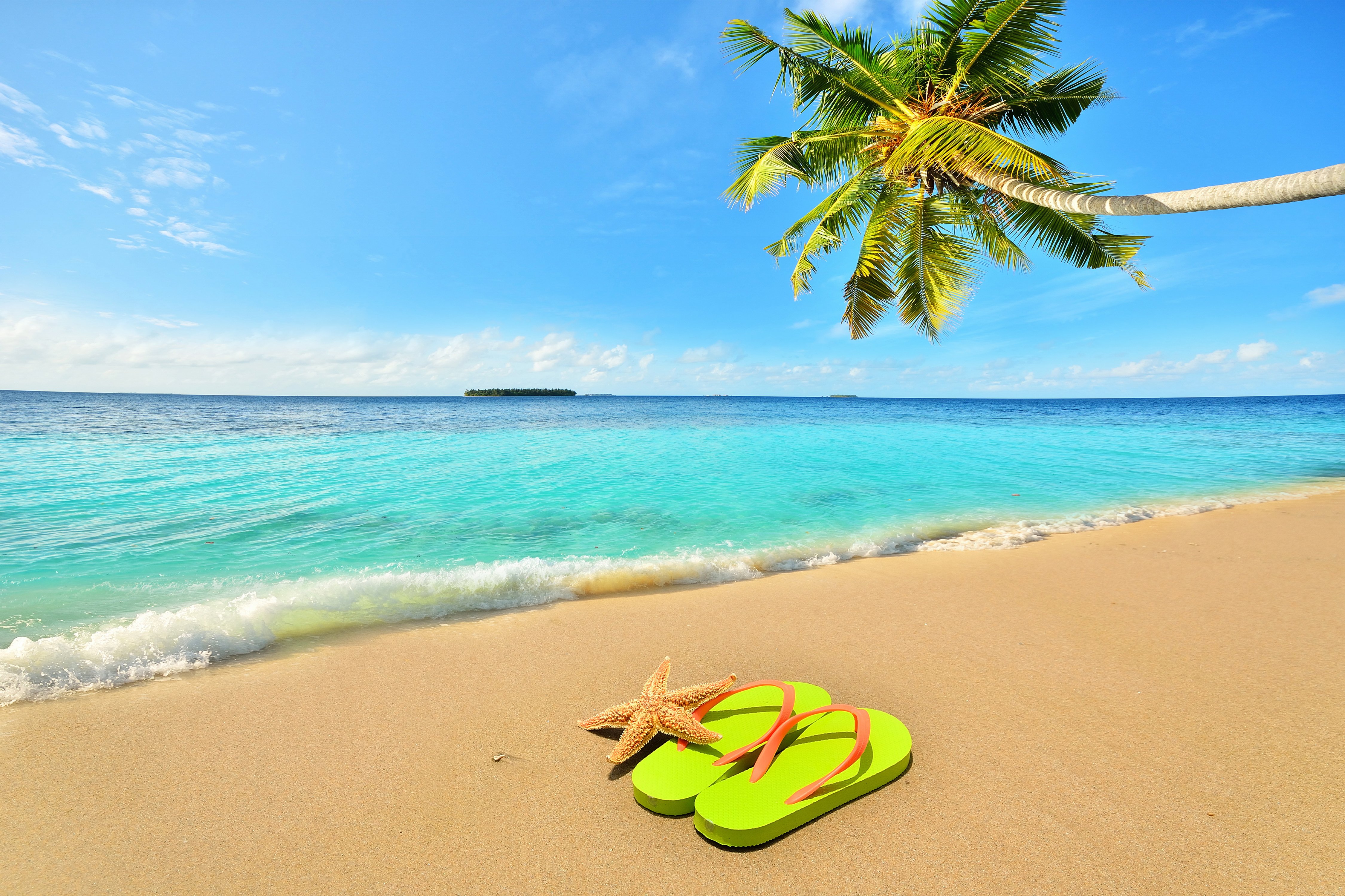 sea, Sky, Beach, Palma, Nature Wallpapers HD / Desktop and Mobile