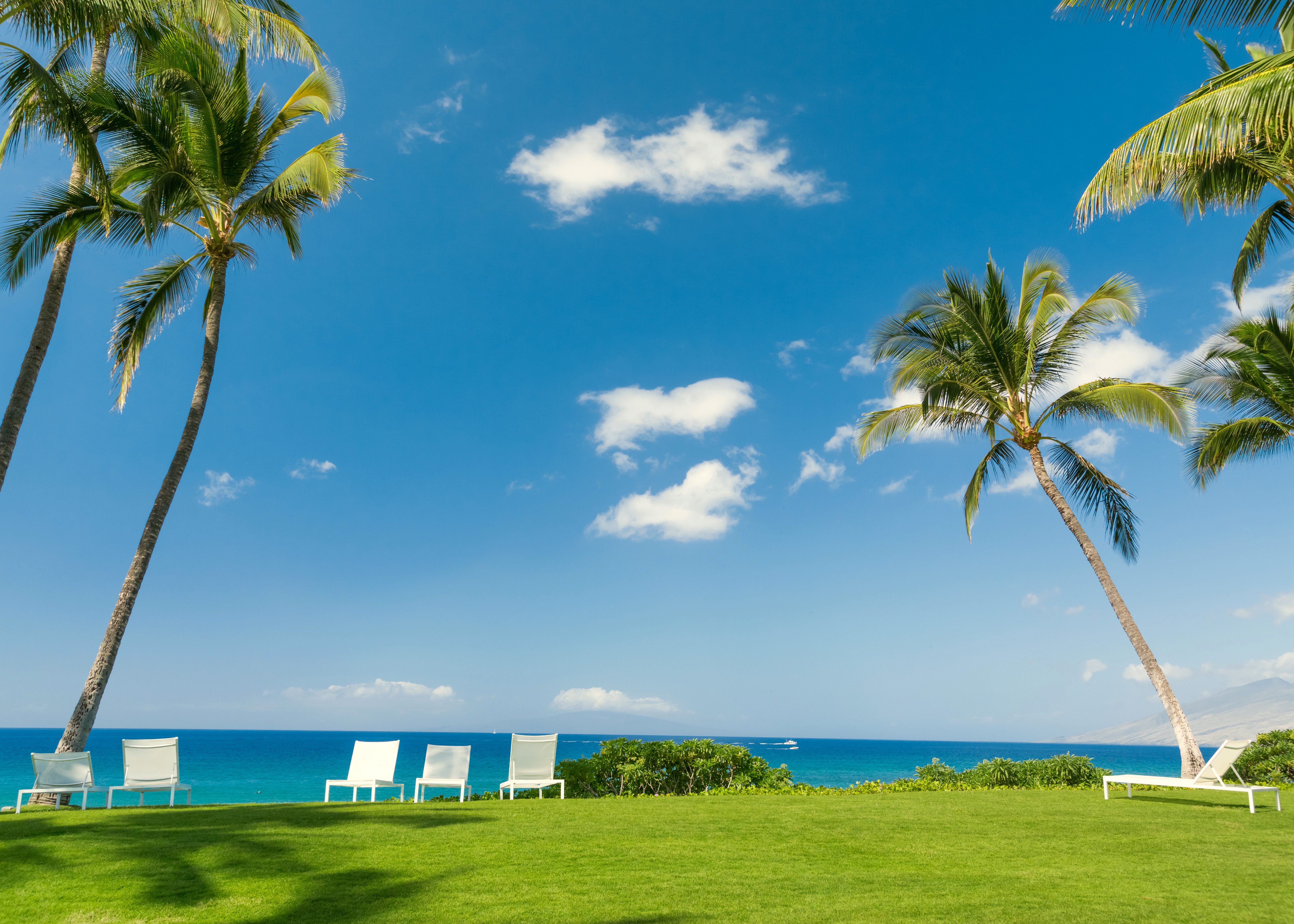 tropics, Coast, Sky, Scenery, Palma, Grass, Chairs, Nature Wallpaper