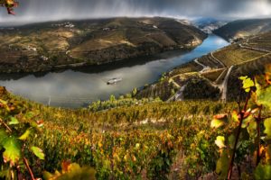 portugal, Scenery, Rivers, Fields, Valenca, Do, Douro, Nature