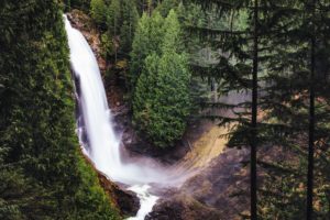 usa, Waterfalls, Forests, Washington, Fir, Wallace, Falls, Nature