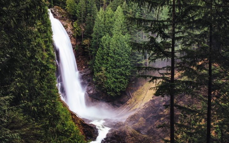 usa, Waterfalls, Forests, Washington, Fir, Wallace, Falls, Nature HD Wallpaper Desktop Background