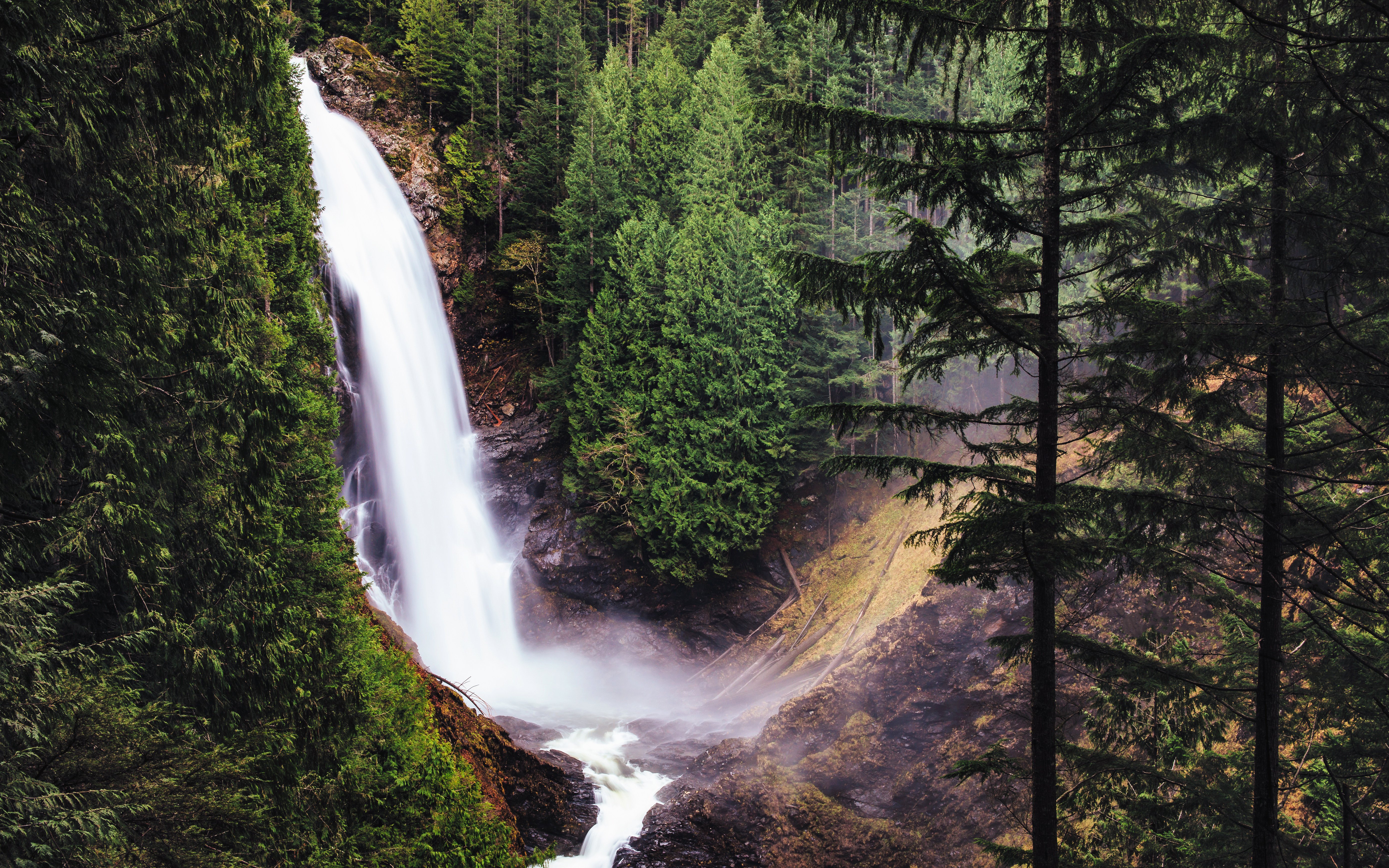 usa, Waterfalls, Forests, Washington, Fir, Wallace, Falls, Nature Wallpaper