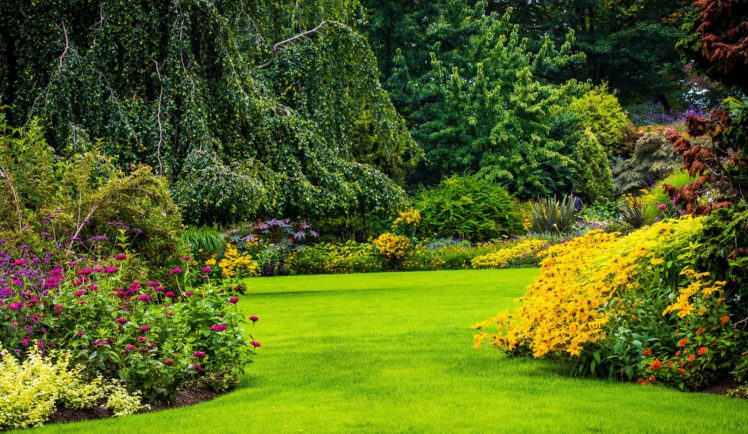 canada, Gardens, Vancouver, Shrubs, Trees, Lawn, Queen, Elizabeth, Garden, Nature HD Wallpaper Desktop Background