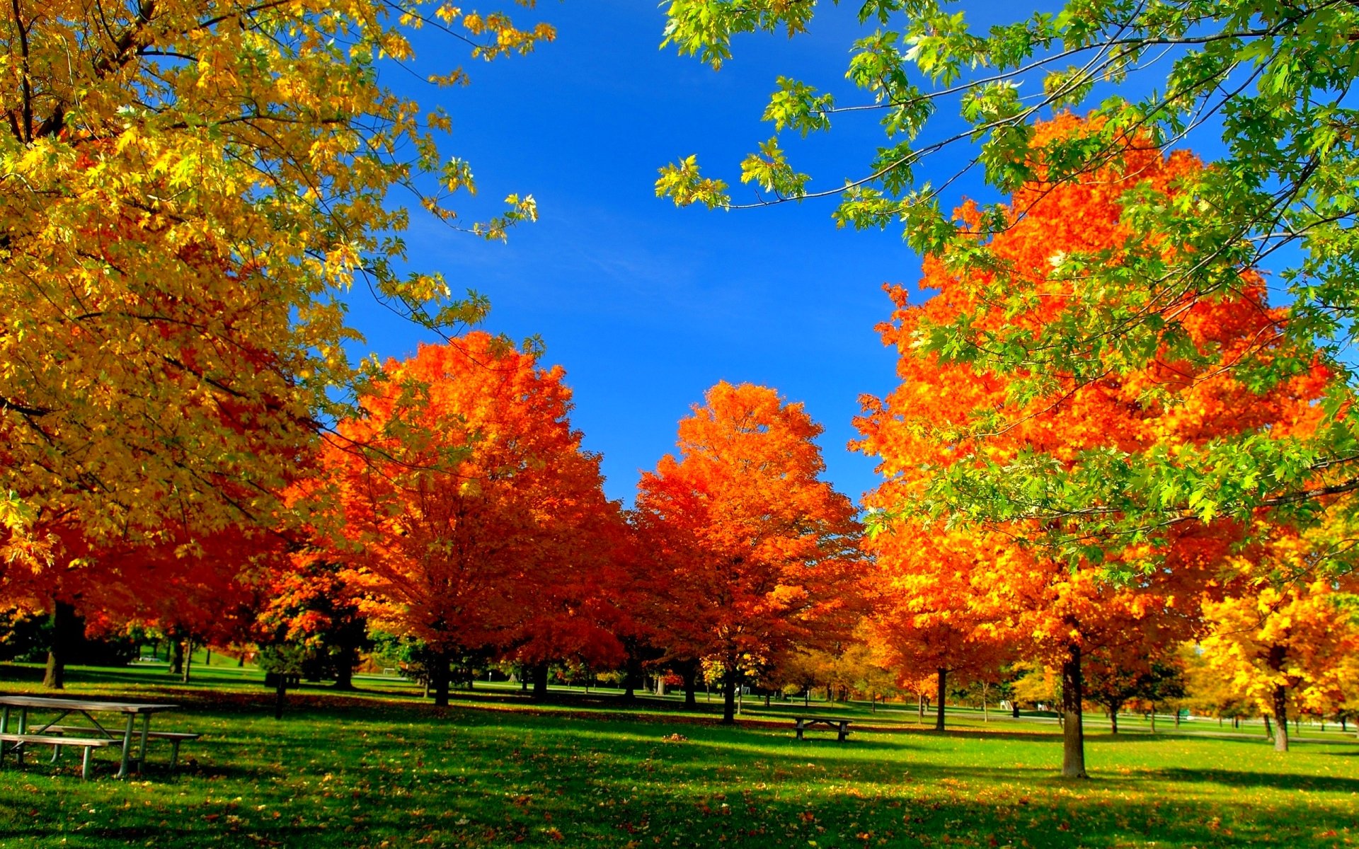 colors of autumn 94 free videos