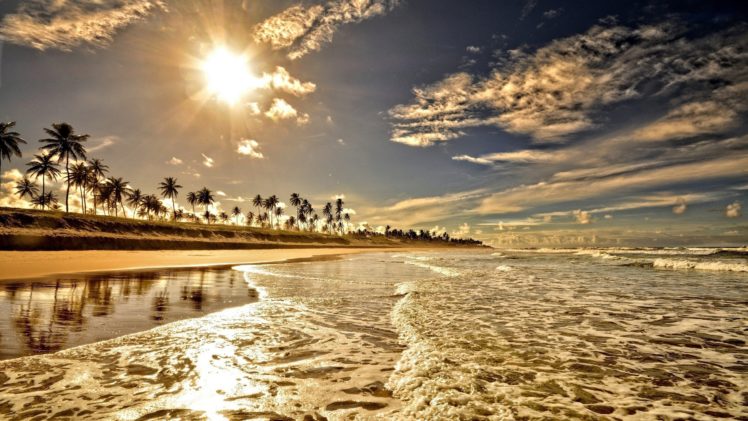 playa, Agua, Olas, Palmeras, Naturaleza HD Wallpaper Desktop Background