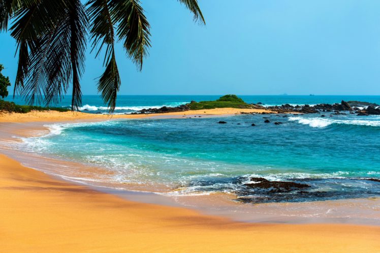 playa, Mar, Palmera, Naturaleza HD Wallpaper Desktop Background