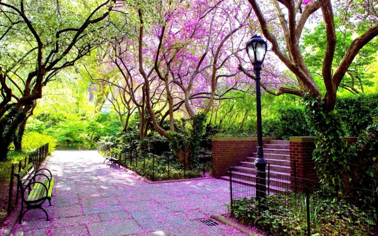 nature, Trees, Pink, Stairways, Bench, Scenic, Lamp, Posts, Hdr, Photography HD Wallpaper Desktop Background