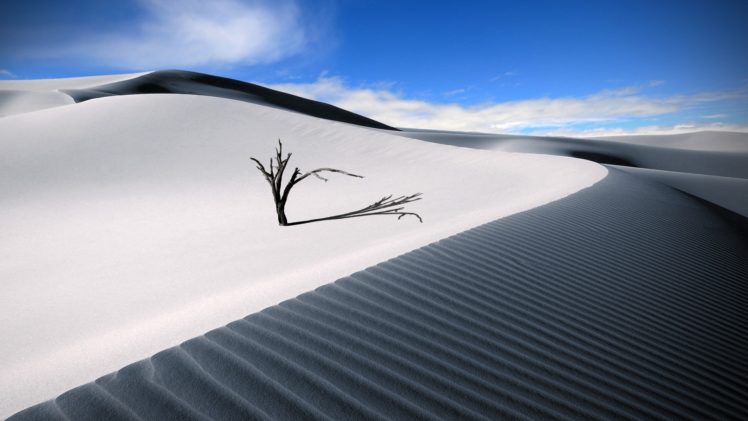 dunas, Desierto, Arenas, Arbol, Seco, Naturaleza HD Wallpaper Desktop Background