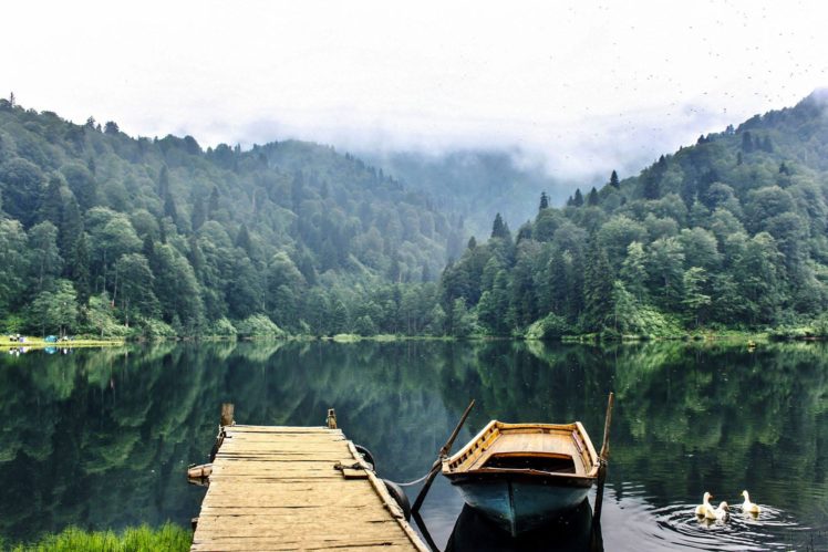 artvin, Karagol, Lake, Forest, Landscape, Nature, Beauty, Amazing, Mountain, Sky HD Wallpaper Desktop Background