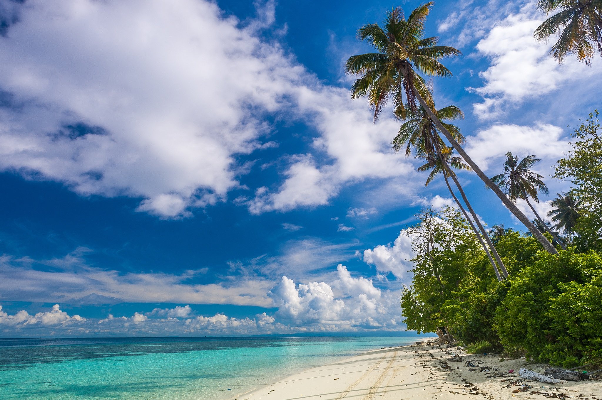 beach, Shrubs, Palm, Trees, Island, Paradise, Clouds, Tropical