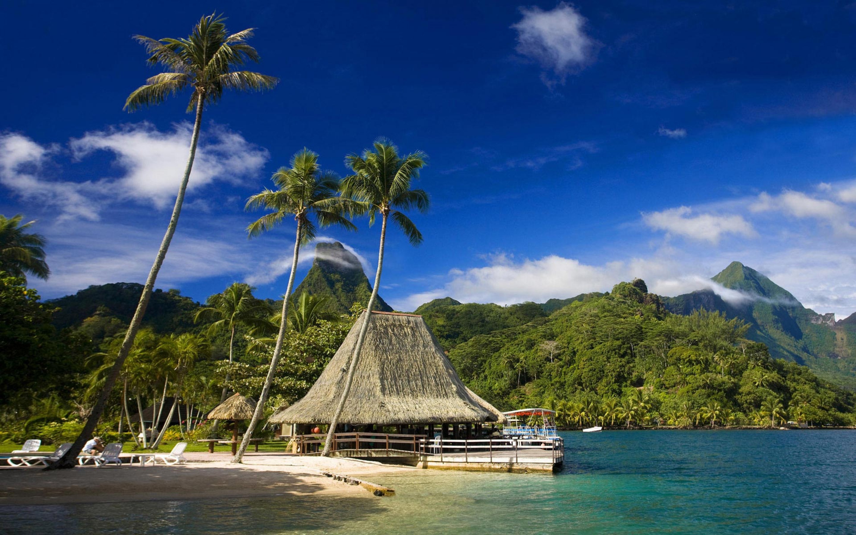 tropical Wallpaper
