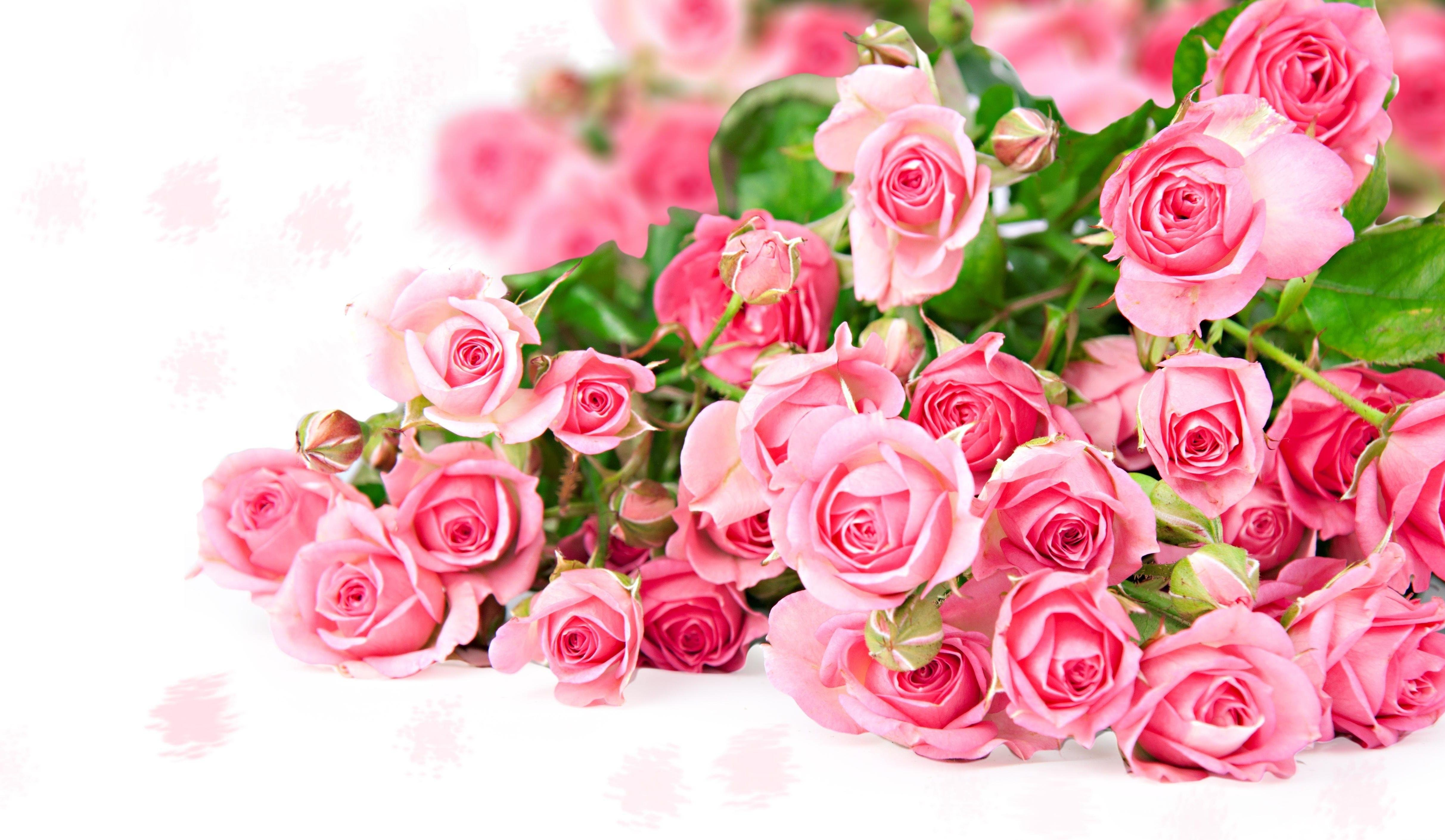 roses, Flowers, Bouquet, Pink, Tender Wallpaper