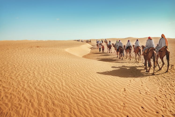 desert, Camels, Nature HD Wallpaper Desktop Background