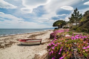 france, Coast, Boats, Sky, Portulaca, Sand, Corsica, Nature